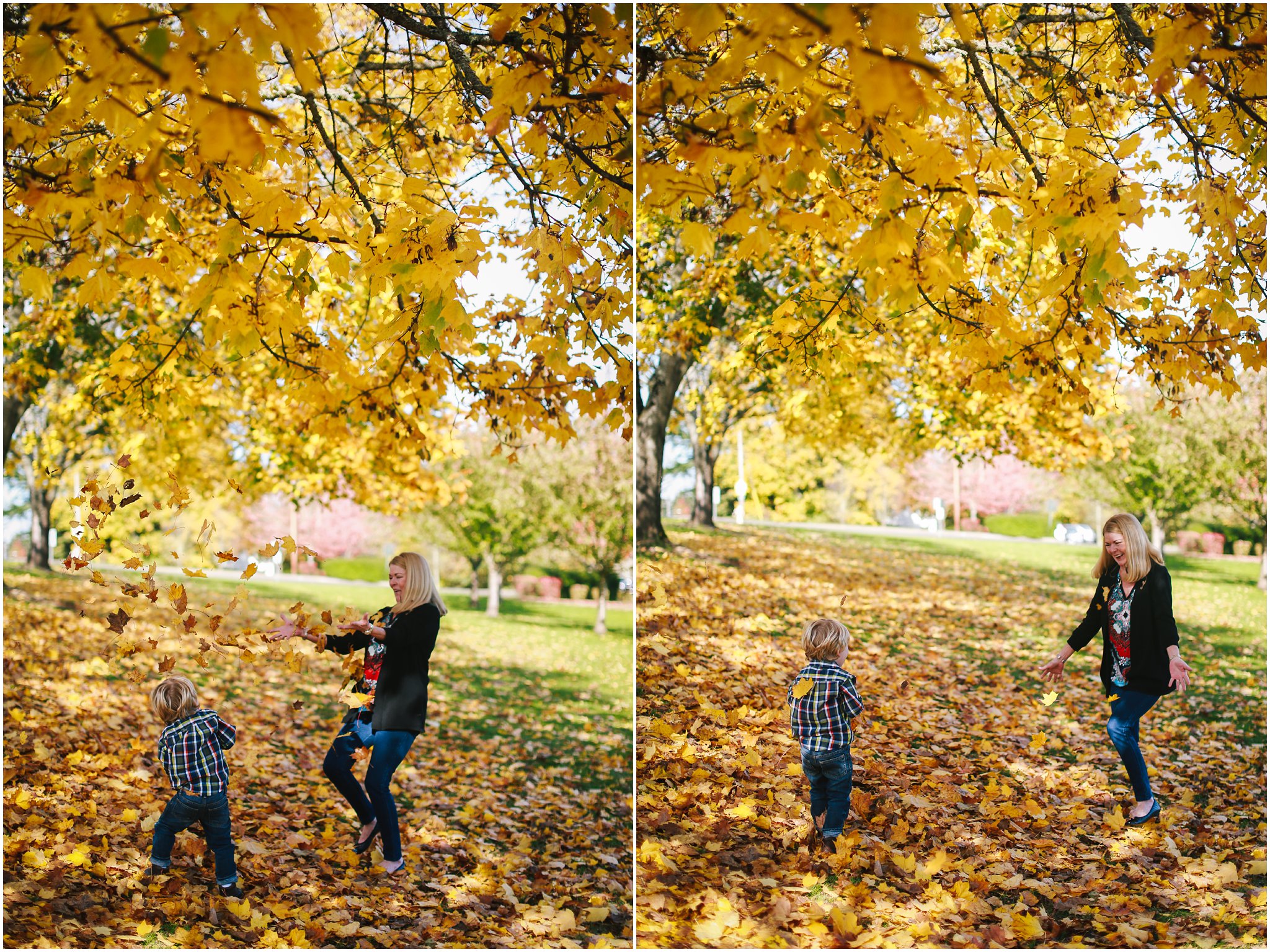 2016,3 year old,Boy,Brady,Fall,Family,Lauren Allen Photography,Mom,Oregon,Portland,Rara,Tree,candid,carefree,child,child photographer,childhood,grandma,kid,laugh,leaves,me,natural light,october,outdoors,outside,plaid,playing,preschooler,yellow,