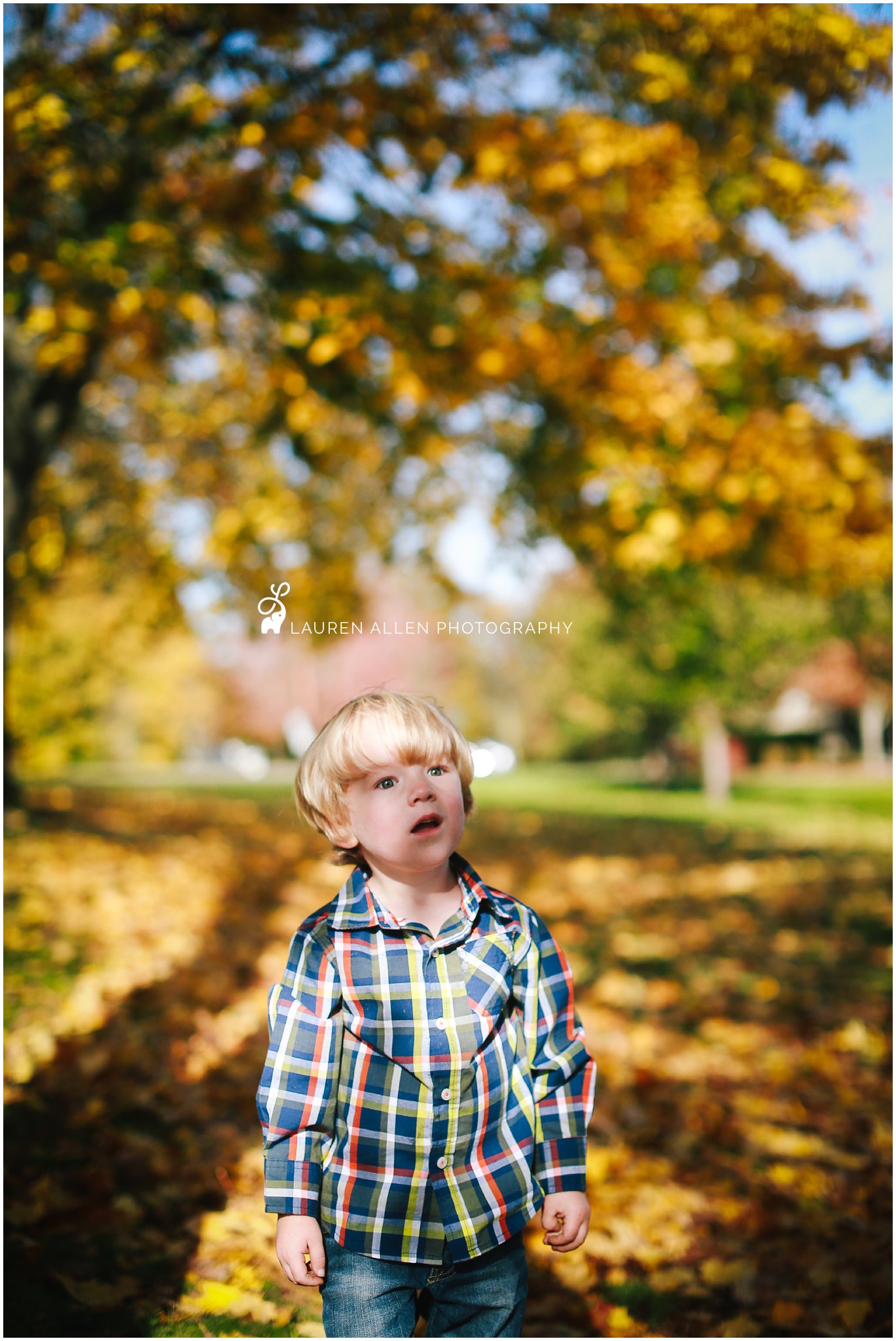 2016,3 year old,Boy,Brady,Fall,Family,Lauren Allen Photography,Mom,Oregon,Portland,Rara,Tree,candid,carefree,child,child photographer,childhood,grandma,kid,laugh,leaves,me,natural light,october,outdoors,outside,plaid,playing,preschooler,yellow,