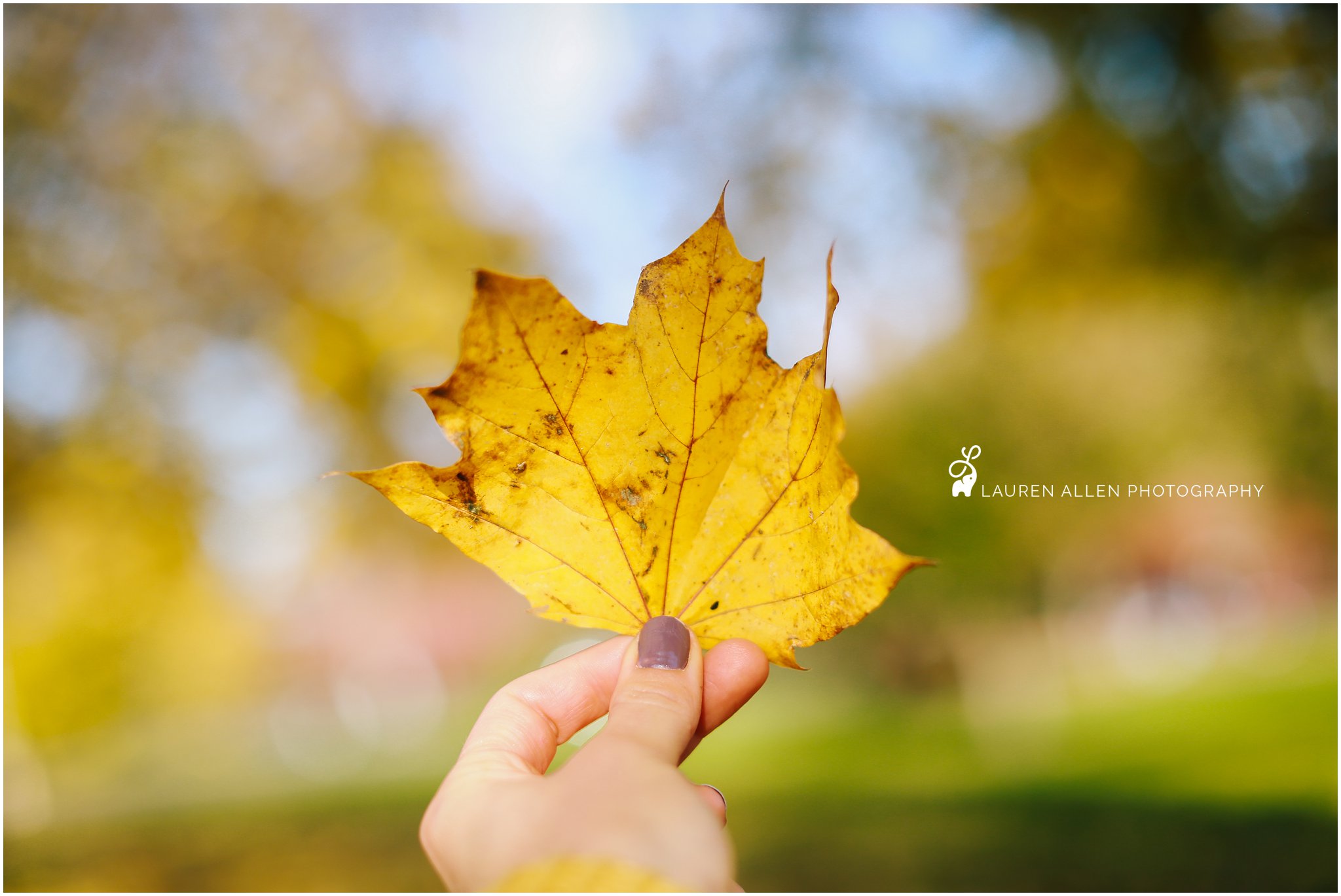 2016,3 year old,Boy,Brady,Fall,Family,Lauren Allen Photography,Mom,Oregon,Portland,Rara,Tree,candid,carefree,child,child photographer,childhood,grandma,kid,laugh,leaves,me,natural light,october,outdoors,outside,plaid,playing,preschooler,yellow,