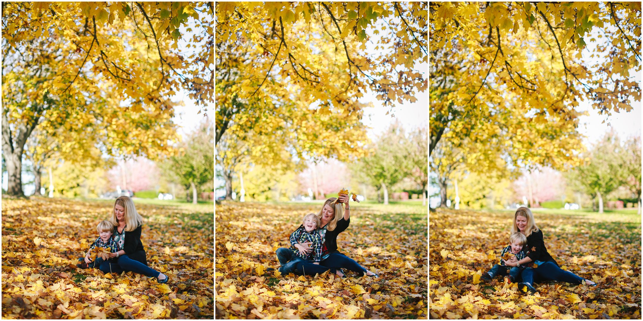 2016,3 year old,Boy,Brady,Fall,Family,Lauren Allen Photography,Mom,Oregon,Portland,Rara,Tree,candid,carefree,child,child photographer,childhood,grandma,kid,laugh,leaves,me,natural light,october,outdoors,outside,plaid,playing,preschooler,yellow,