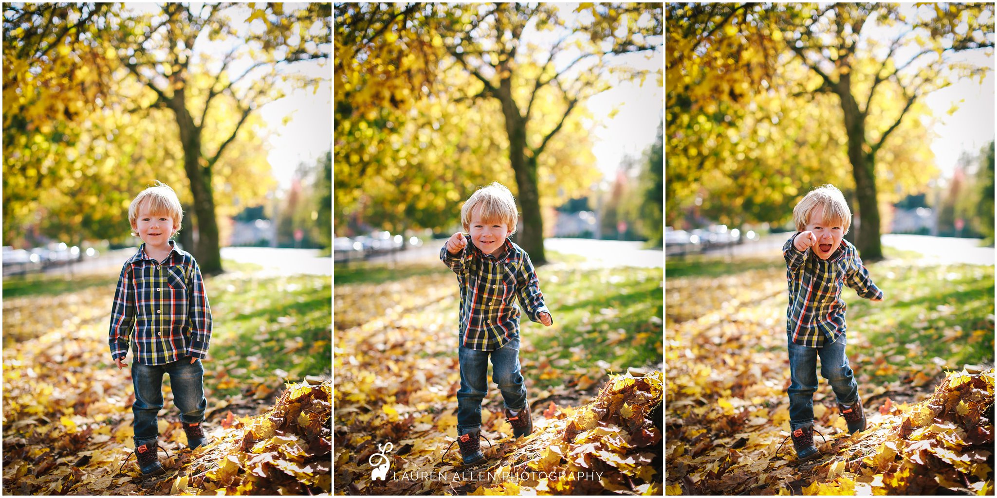 2016,3 year old,Boy,Brady,Fall,Family,Lauren Allen Photography,Mom,Oregon,Portland,Rara,Tree,candid,carefree,child,child photographer,childhood,grandma,kid,laugh,leaves,me,natural light,october,outdoors,outside,plaid,playing,preschooler,yellow,