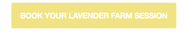 Book your Lavender Farm Session 